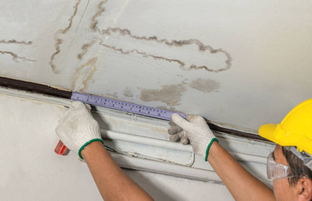 Reliable Mold Remediation contractor in Vivian, SD by Water Damage Irwin